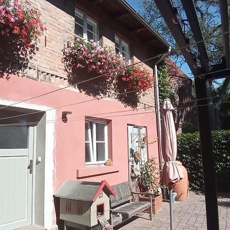 Ferienhaus In Der Historischen Altstadt Von Angermuende Angermunde Exterior foto